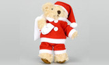 7549172010maistebear_s