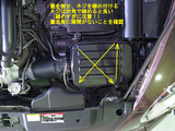 Beetle_ACF_33