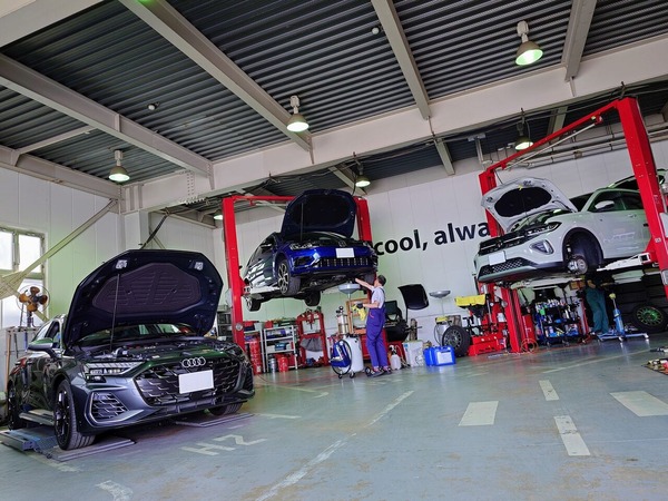 492874977_1774718079963424_6503282342156973551_n