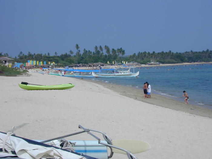 03b6b077.jpg