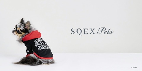SQEX PETs