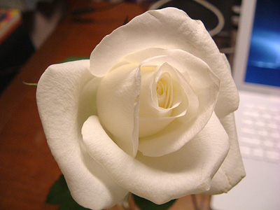 11a2351e.jpg