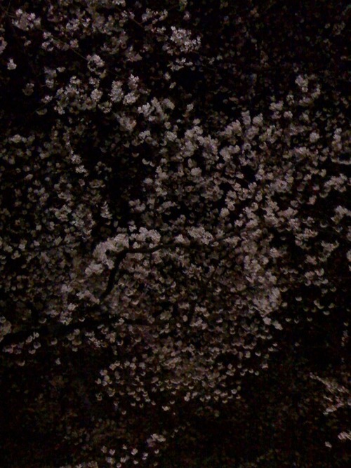 16bba57c.jpg