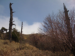 20100420_tsurugisan2867
