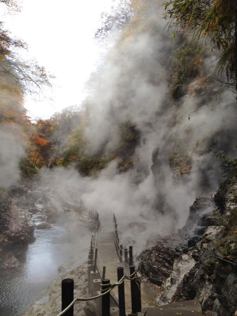 20111116_oyasukyoh