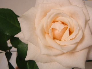 d035a566.jpg