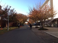 20131122