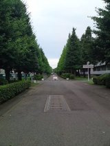 0710rikou