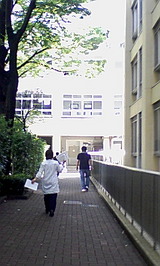 50dbbe96.jpg