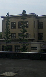 ac9f690a.jpg