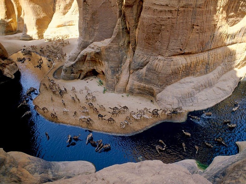 サハラ砂漠の真ん中の水溜り 数千年も生き残っているワニの一群が暮らしています チャドのゲルタ ダルシェイ Guelta D Archei に見る奇跡の生態系 満艦飾