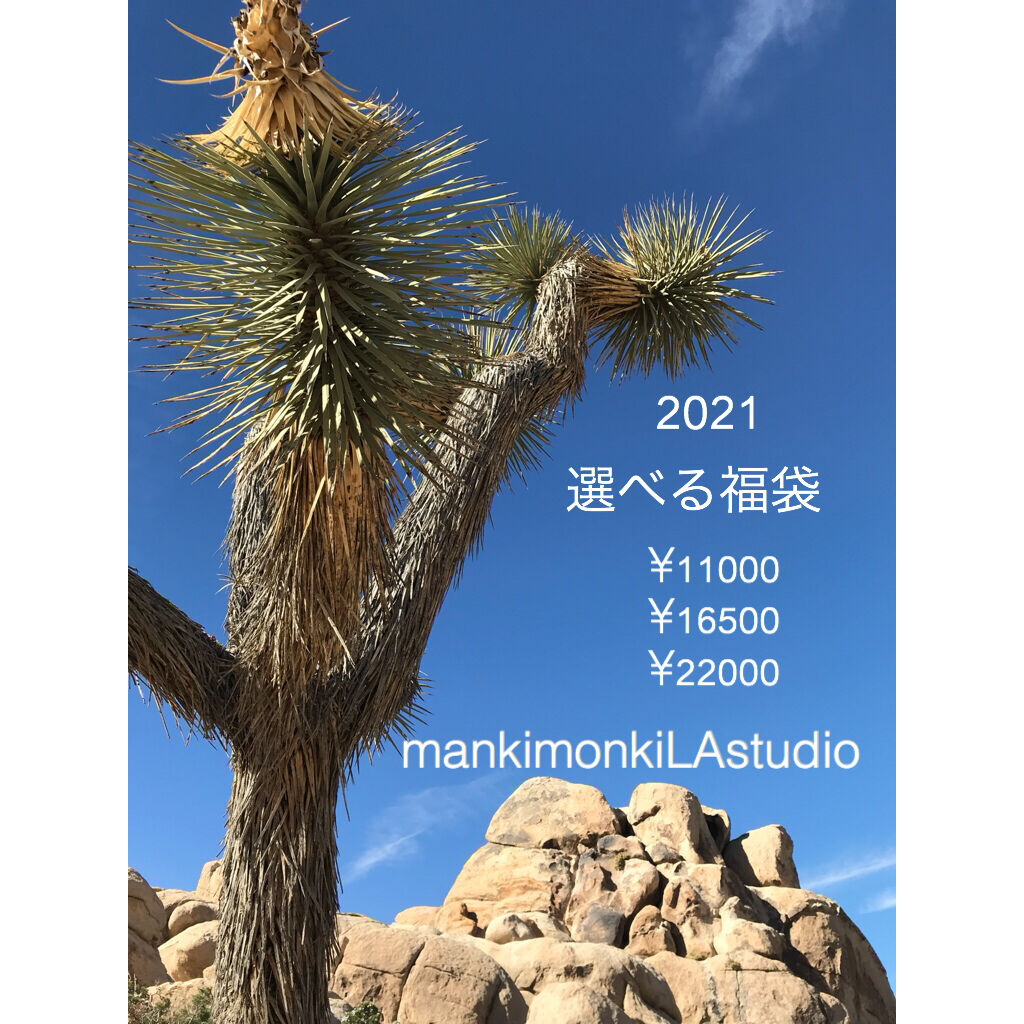4CB45458-9C98-4467-A919-C293BDD679F3