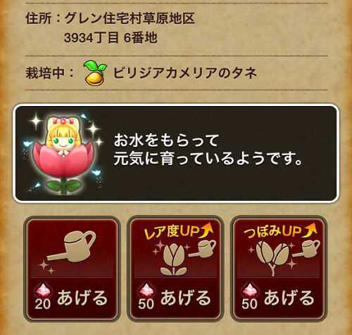 畑の妖精は課金水をあげるとやってくる確率が大幅にあがるみたいです 昔のまんまる堂 移転しました 畑の妖精は課金水をあげるとやってくる確率が大幅にあがるみたいです 昔のまんまる堂 移転しました