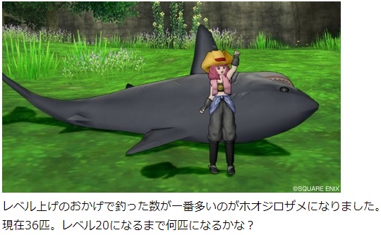 釣り ホウジロザメばかりが釣れる場所 昔のまんまる堂 移転しました 釣り ホウジロザメばかりが釣れる場所 昔のまんまる堂 移転しました