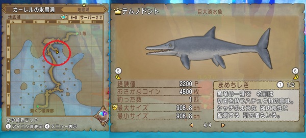 レアなお魚のおススメ釣り場所をまとめてみました 昔のまんまる堂 移転しました レアなお魚のおススメ釣り場所をまとめてみました 昔のまんまる堂 移転しました
