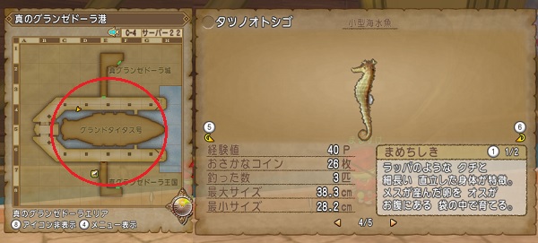 レアなお魚のおススメ釣り場所をまとめてみました 昔のまんまる堂 移転しました レアなお魚のおススメ釣り場所をまとめてみました 昔のまんまる堂 移転しました