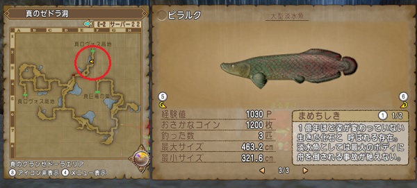 レアなお魚のおススメ釣り場所をまとめてみました 昔のまんまる堂 移転しました レアなお魚のおススメ釣り場所をまとめてみました 昔のまんまる堂 移転しました