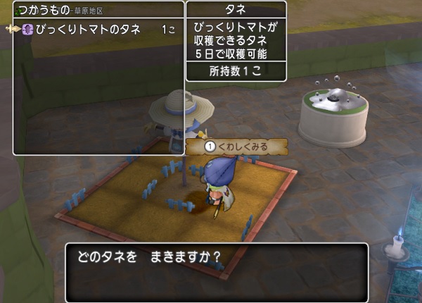 びっくりトマトのタネを植えてみた 昔のまんまる堂 移転しました びっくりトマトのタネを植えてみた 昔のまんまる堂 移転しました