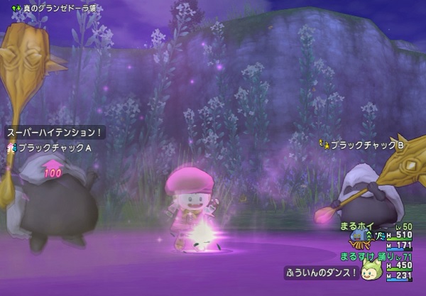 踊り子おどりスキルの調査結果 戦鬼の乱れ舞 つるぎの舞 ふういんのダンス こんらんのダンス ねむりのダンス ドラゴンステップ ビーナスステップ ロイヤルステップ 昔のまんまる堂 移転しました