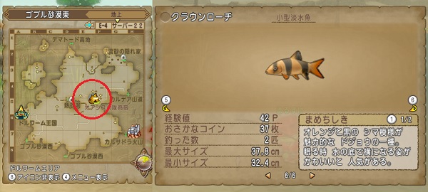 レアなお魚のおススメ釣り場所をまとめてみました 昔のまんまる堂 移転しました レアなお魚のおススメ釣り場所をまとめてみました 昔のまんまる堂 移転しました