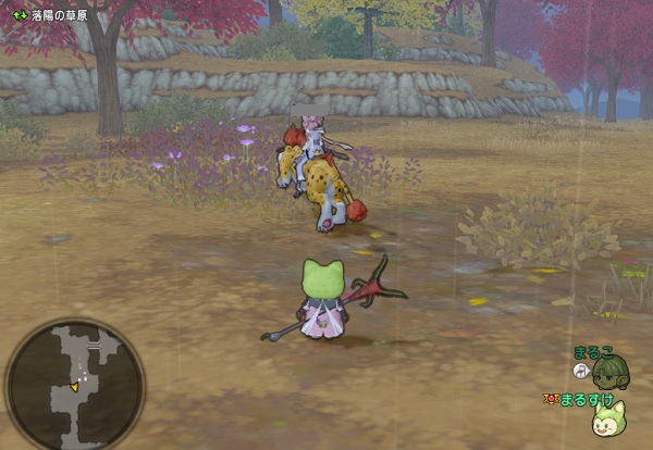 追記あります ピラミッド前の短い距離でドルボードに乗るのはレアなプリズムをドヤしたい人 昔のまんまる堂 移転しました