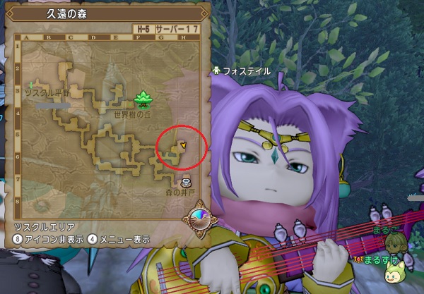 速報 野生のフォステイルが久遠の森ｈ５に出ましたよー 追記 １２時３８分頃に飛んでいきました 昔のまんまる堂 移転しました