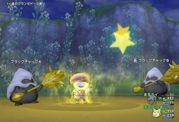 踊り子おどりスキルの調査結果 戦鬼の乱れ舞 つるぎの舞 ふういんのダンス こんらんのダンス ねむりのダンス ドラゴンステップ ビーナスステップ ロイヤルステップ 昔のまんまる堂 移転しました