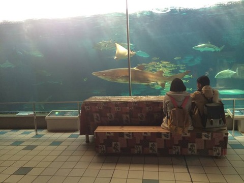 須磨海浜水族園