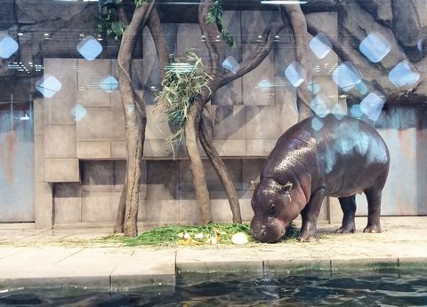 みずべにふれる５