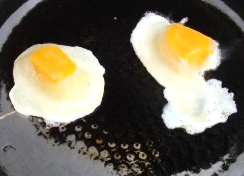 ネット上で話題のレシピ 冷凍卵で作った目玉焼き を食べたら おいしすぎた 19860707 Powered By ライブドアブログ ネット上で話題のレシピ 冷凍卵で作った目玉焼き を食べたら おいしすぎた 19860707 Powered By ライブドアブログ