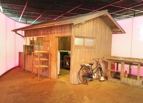 展示２