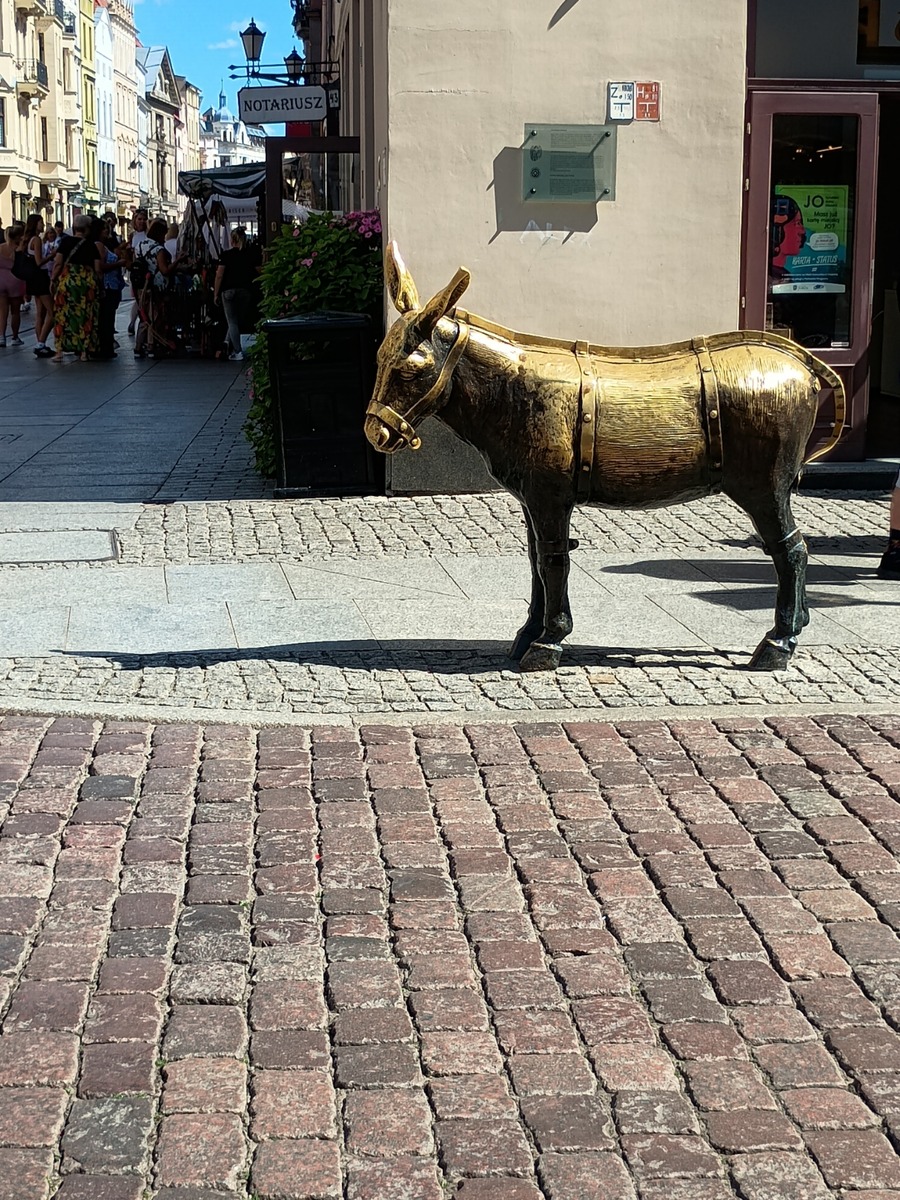 IMG_20250819_124027276