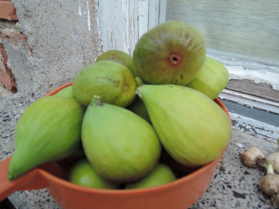 DSCN9956