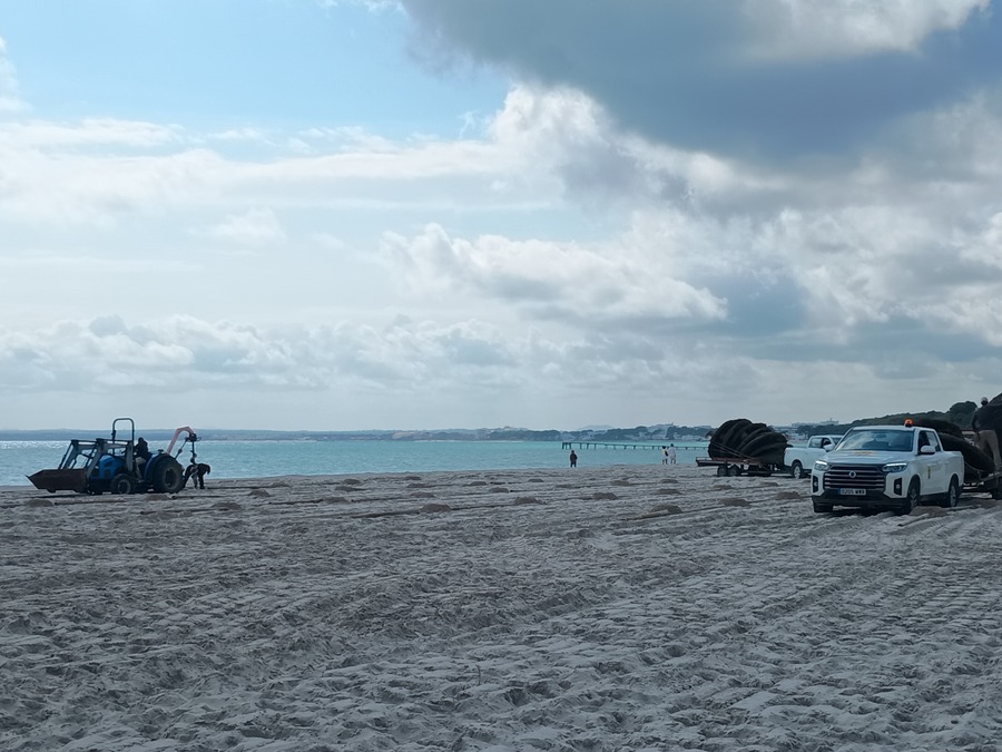 IMG_20260323_114939516