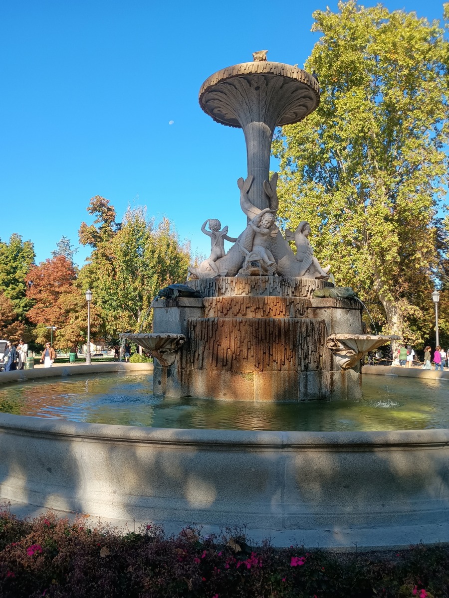 IMG_20251011_112048785
