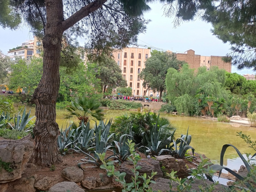 IMG_20251005_102811227_HDR