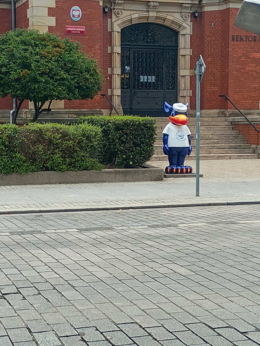 IMG_20250813_133429482