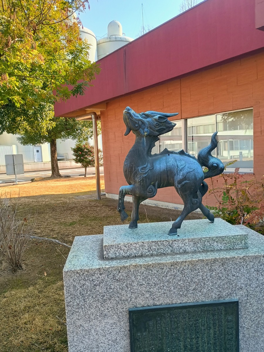 IMG_20250122_104132586_HDR_AE