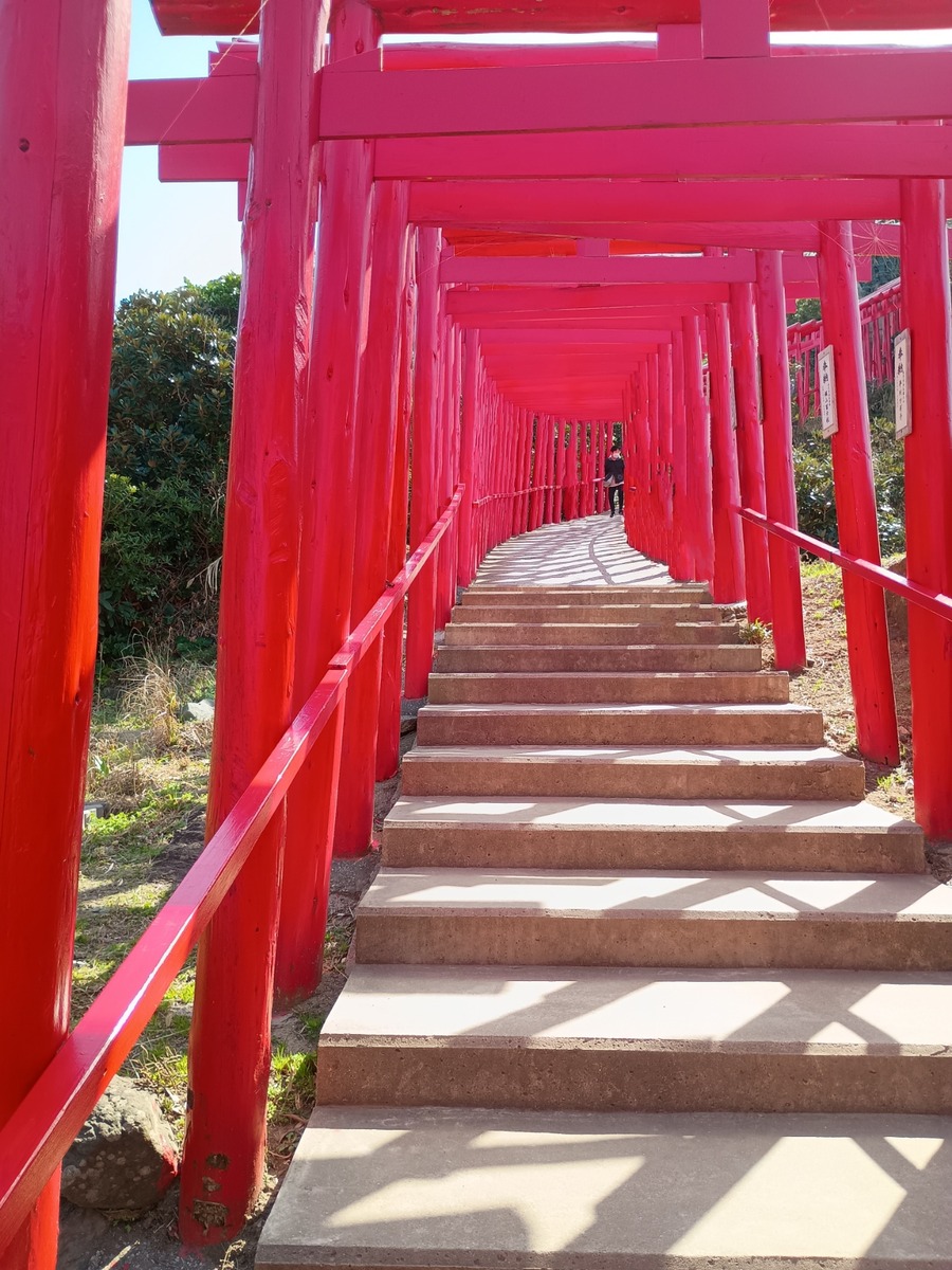 IMG_20250314_141126237~2