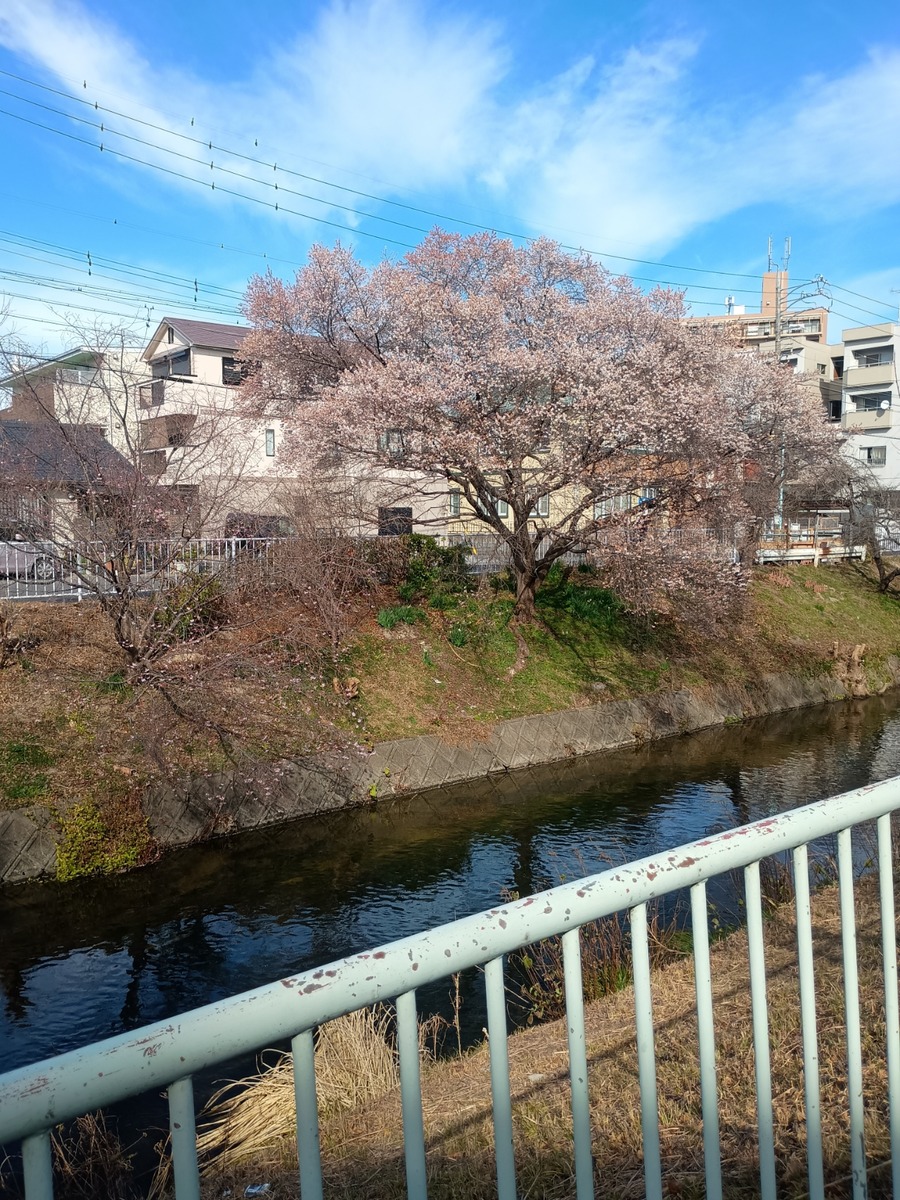 IMG_20260120_115752501