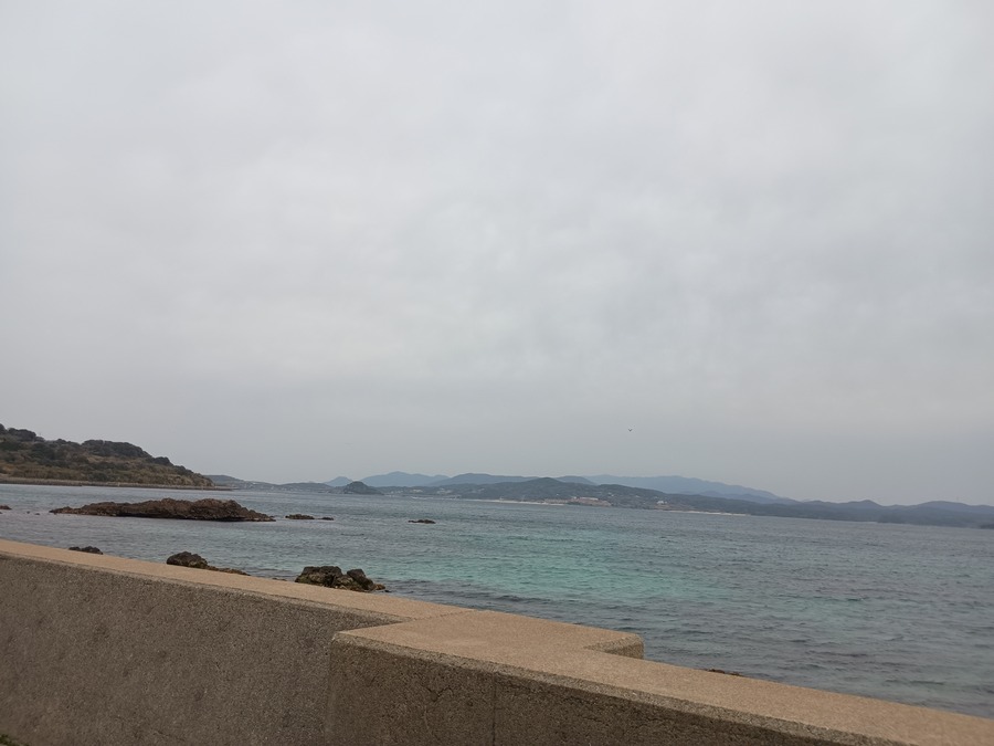 IMG_20250313_151654896