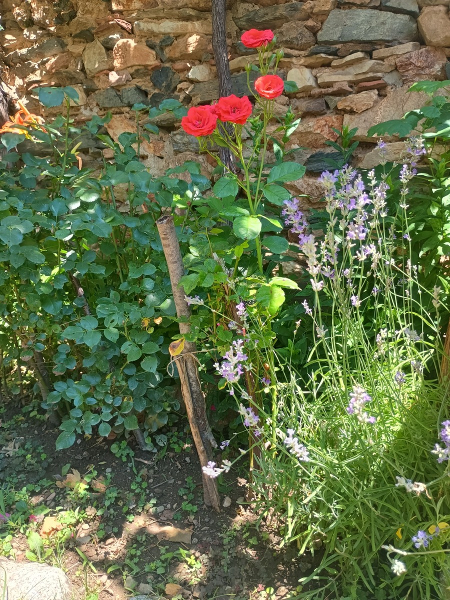 IMG_20250629_140141647_HDR