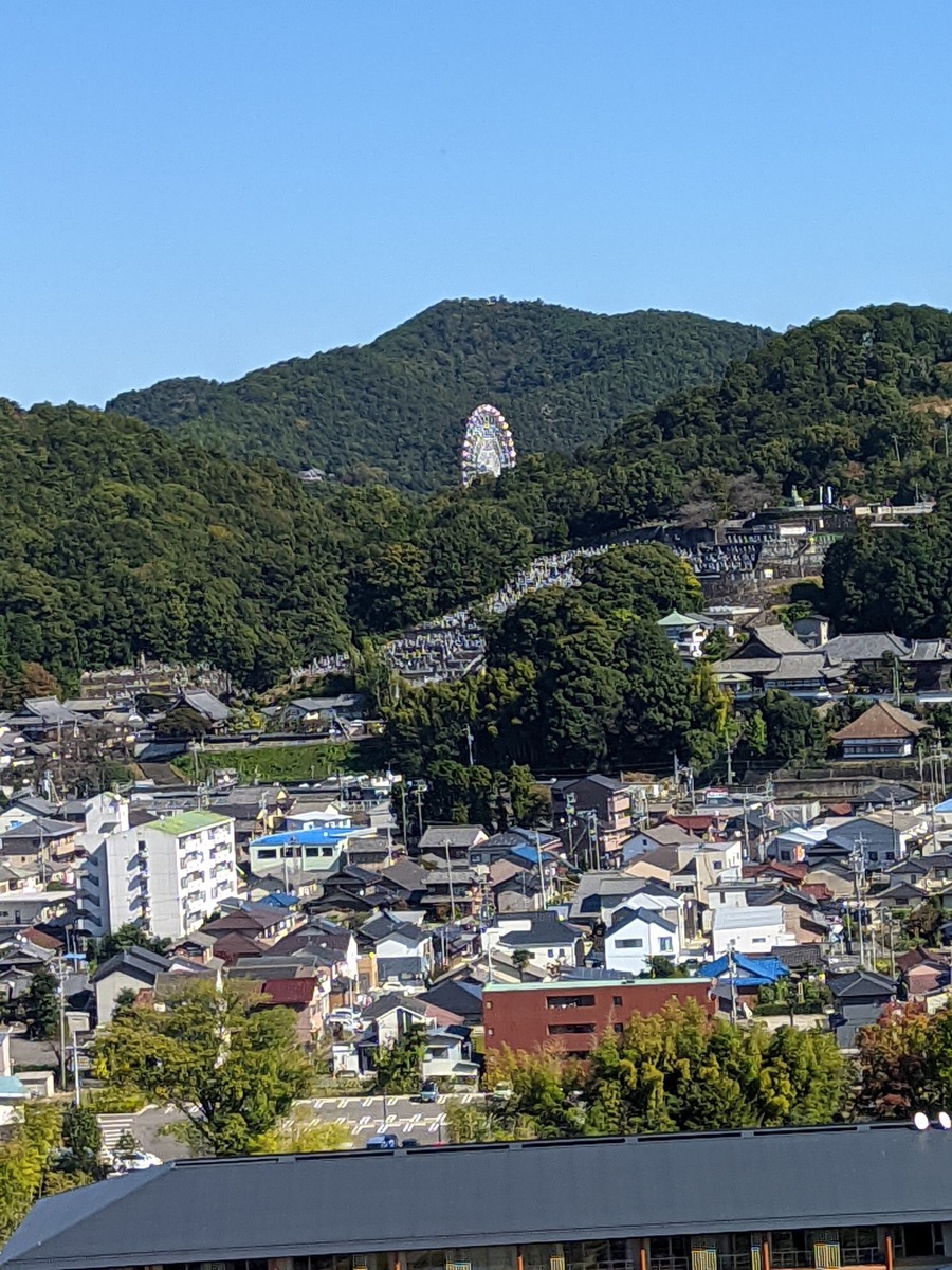 PXL_20221026_032541902