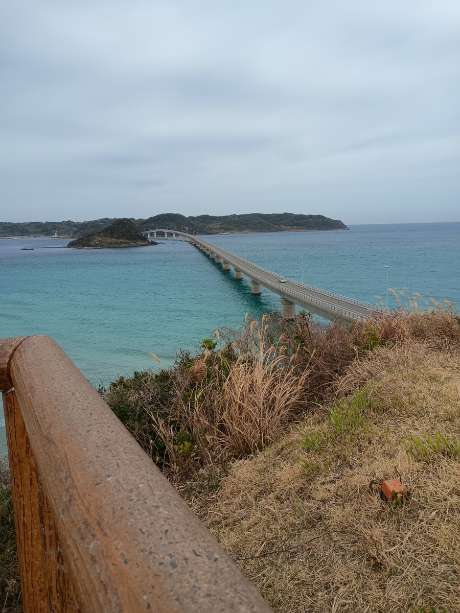 IMG_20250314_091306154