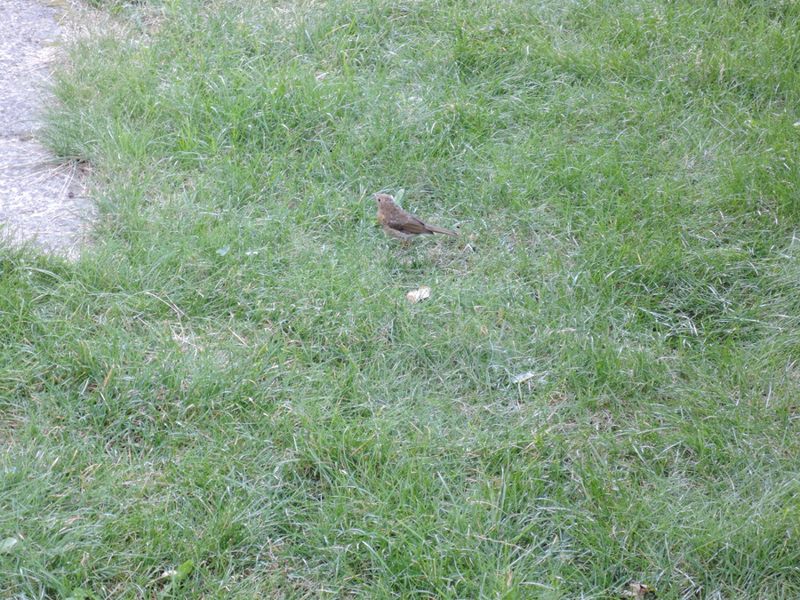 DSCN7660