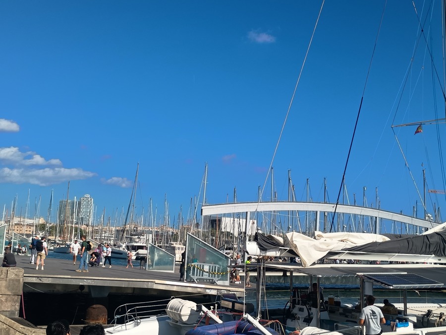 IMG_20251006_144216526