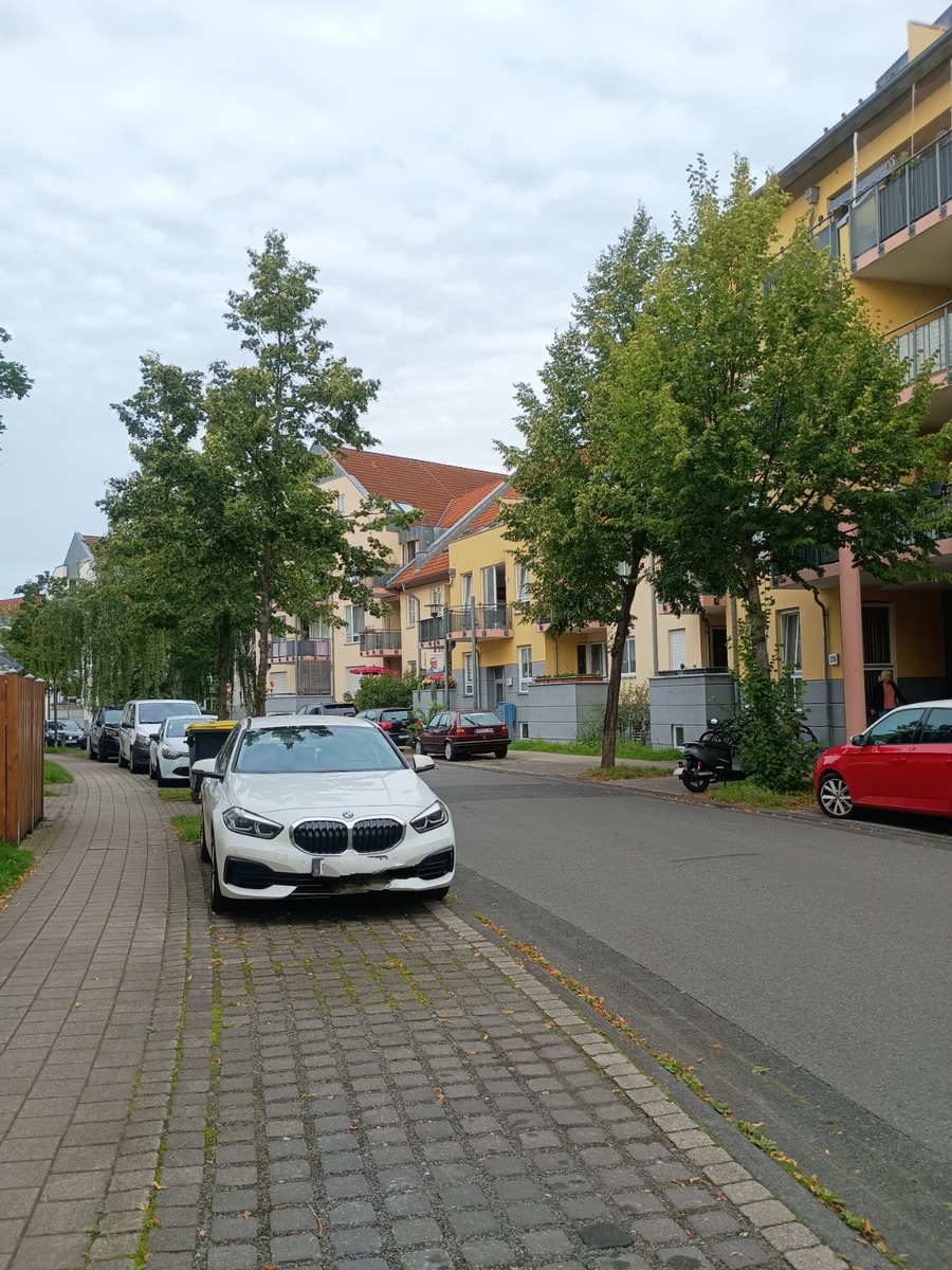 IMG_20250808_082801775~2