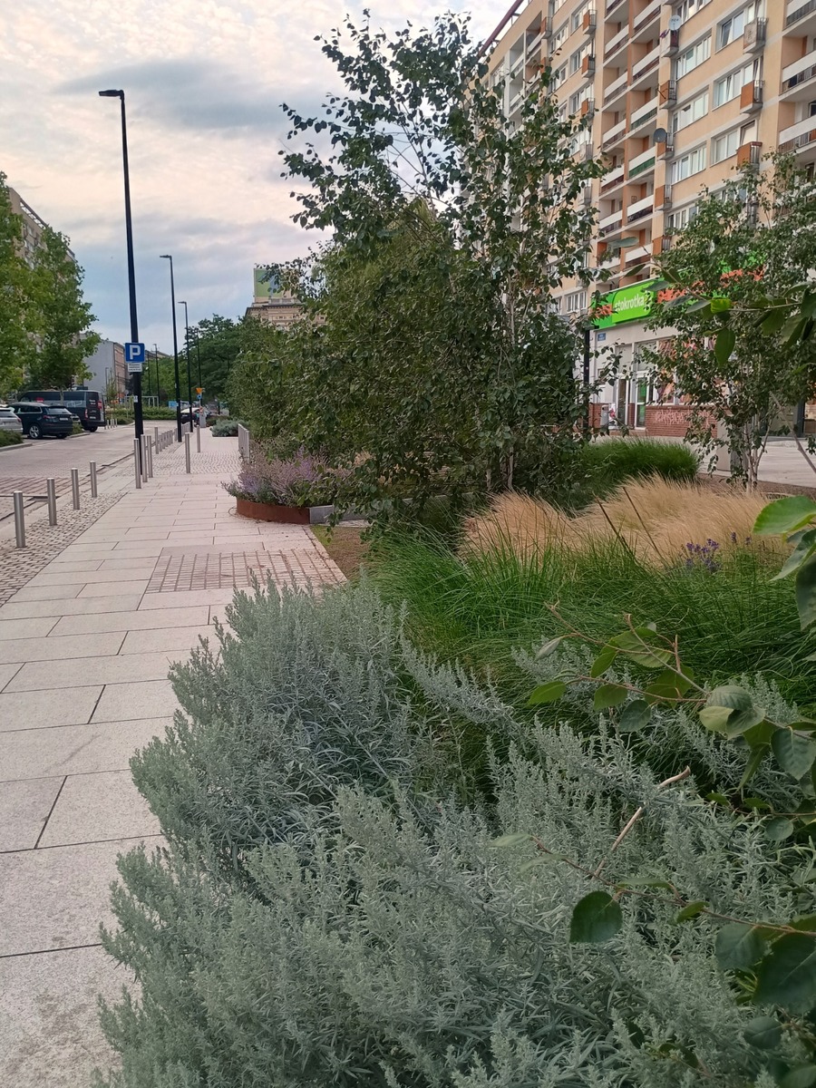 IMG_20250809_195250255_HDR