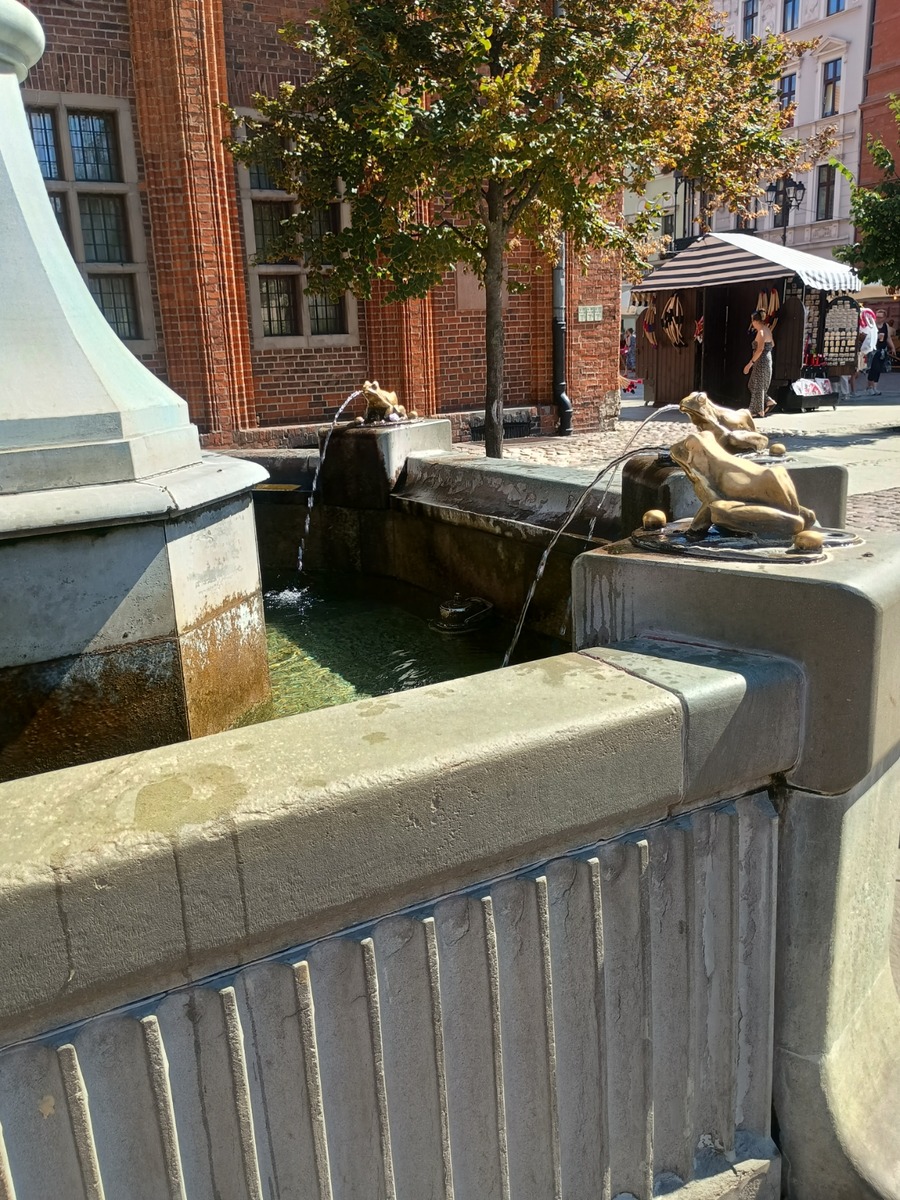 IMG_20250819_121225285_HDR