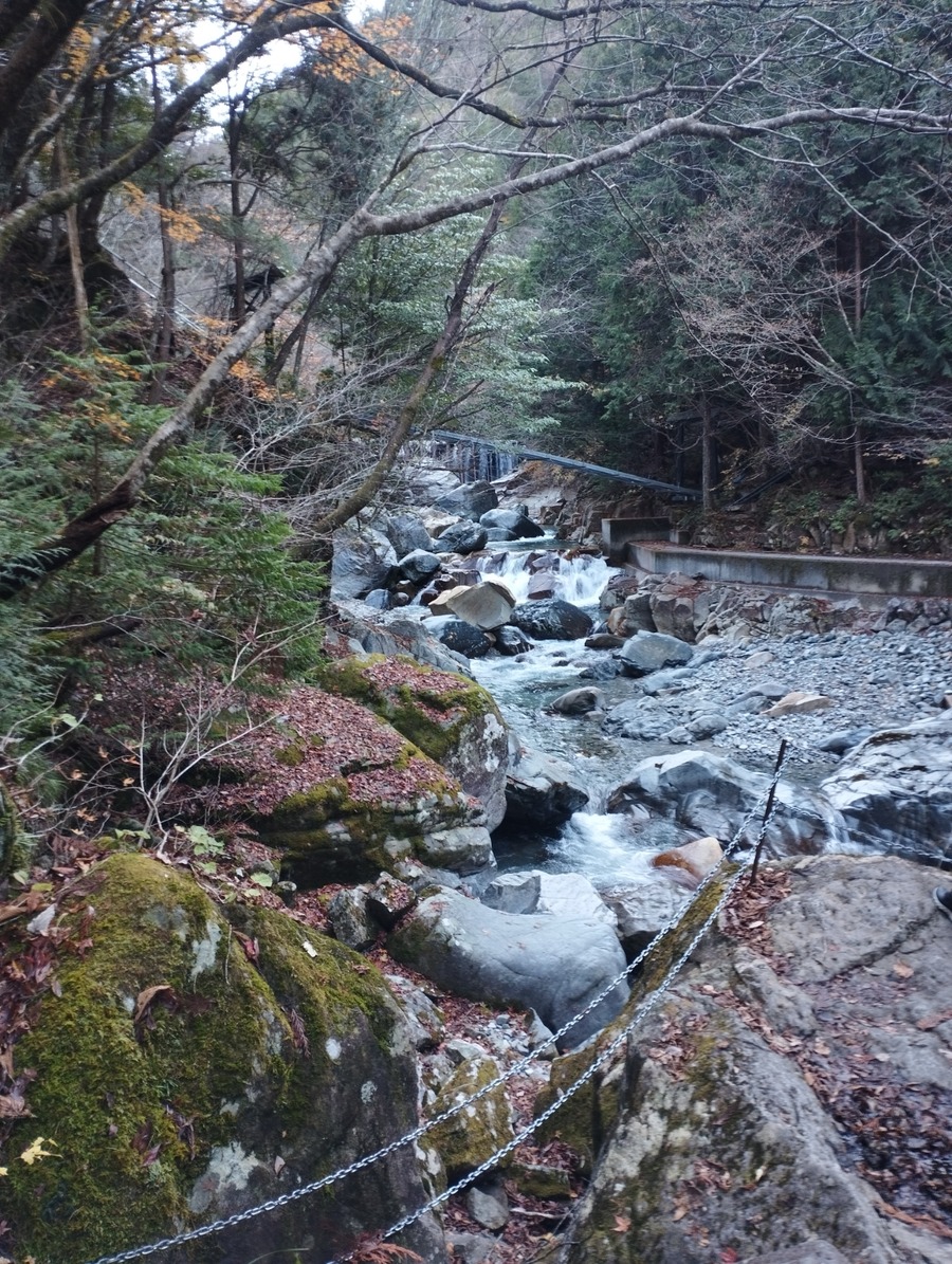 IMG_20231122_130416